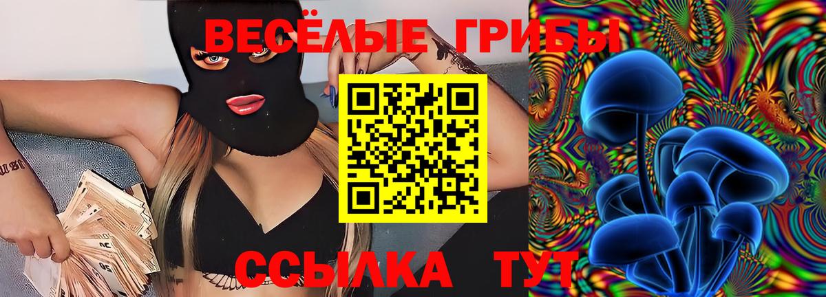 Галлюциногенные грибы прущие грибы Удомля