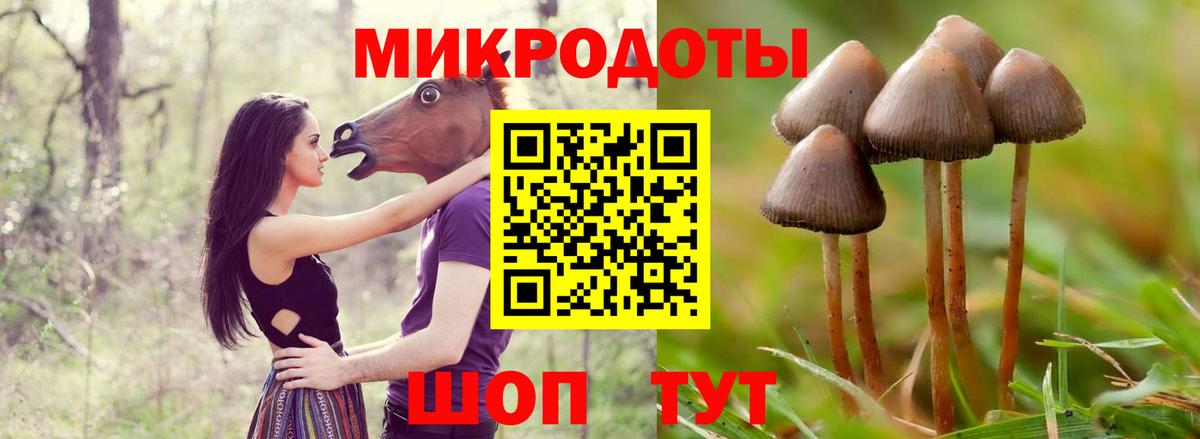 Удомля  Псилоцибиновые грибы Cubensis  Вход с VPN 